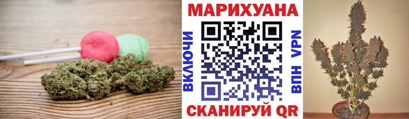 Купить где  Красноуфимск  Canna-Cookies конопля 