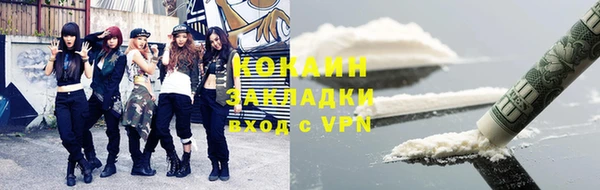 шишки Сафоново