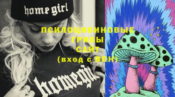 шишки Сафоново