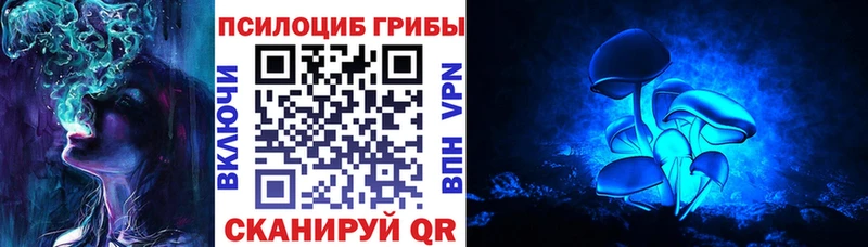 Купить где  Красноуфимск  Галлюциногенные грибы MAGIC MUSHROOMS 